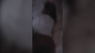 Sexy Latina Nieghbour pussy grinds strip pole the sucks and rides me - porn video